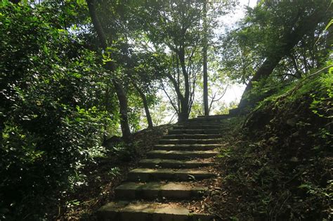 大山背鬧鬼|【新竹橫山】大崎棟步道、大山背山